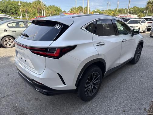 Pear 2025 Lexus NX 250 Premium