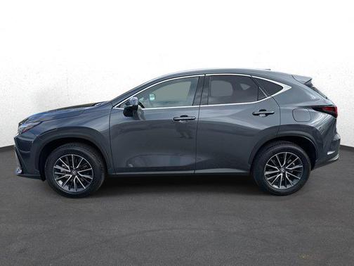 2025 Lexus NX 250 Premium