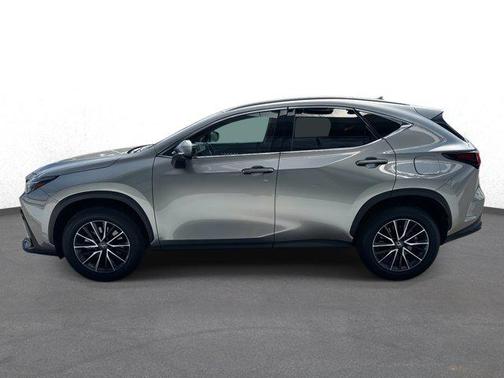 2025 Lexus NX 250 Premium