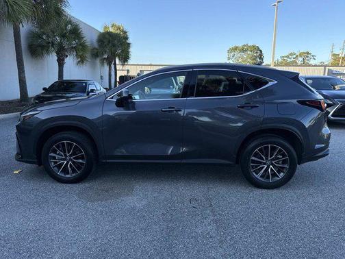 2025 Lexus NX 250 Premium