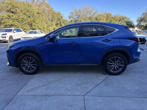 2025 Lexus NX 250 Premium