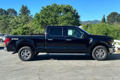 Black Metallic 2025 Ford F-150 XLT