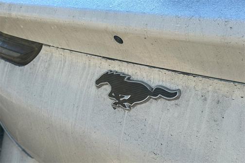 2022 Ford Mustang Mach-E California Route 1
