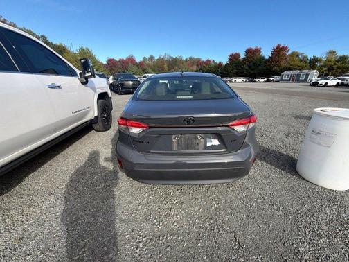 Celestite 2023 Toyota Corolla LE