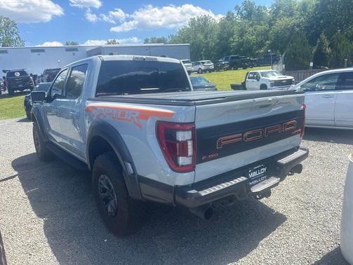 Avalanche 2023 Ford F-150 Raptor