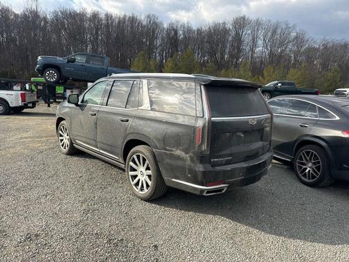 2023 Cadillac Escalade Premium Luxury Platinum