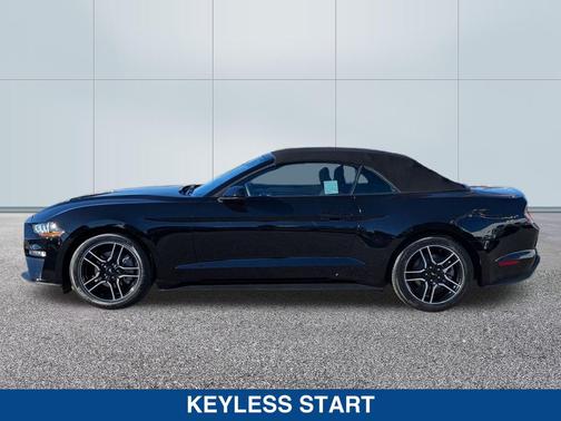 2022 Ford Mustang EcoBoost