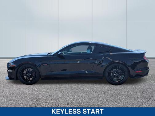 SHADOW BLACK 2019 Ford Mustang GT Premium