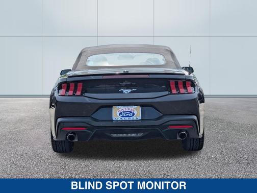 SHADOW BLACK 2024 Ford Mustang EcoBoost Premium