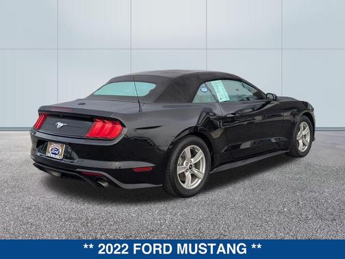 2022 Ford Mustang EcoBoost