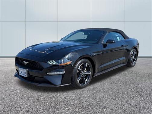 2019 Ford Mustang EcoBoost