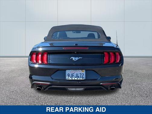 2019 Ford Mustang EcoBoost