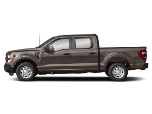 Stone Gray Metallic 2021 Ford F-150 XL