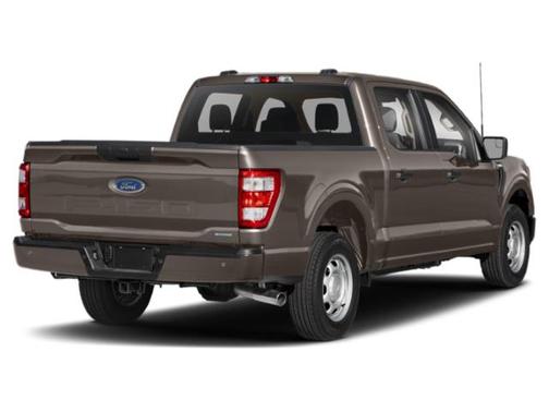 Stone Gray Metallic 2021 Ford F-150 XL