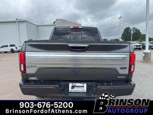 Magnetic Metallic 2020 Ford F-150 Platinum