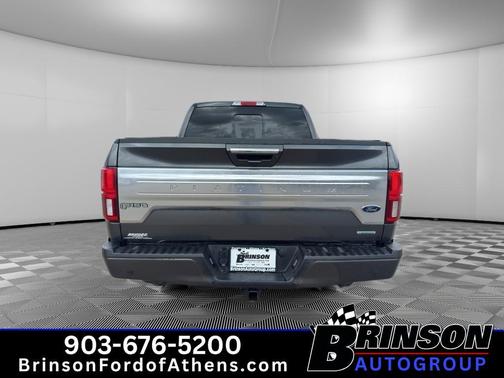 Magnetic Metallic 2020 Ford F-150 Platinum