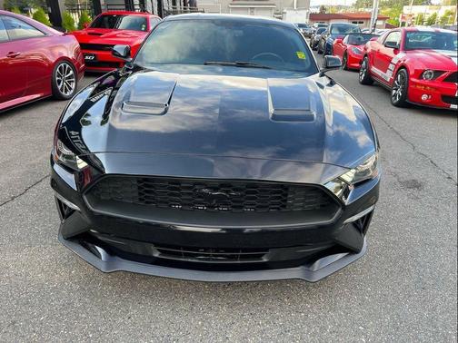 2019 Ford Mustang EcoBoost