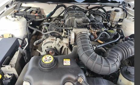 2010 Ford Mustang Premium