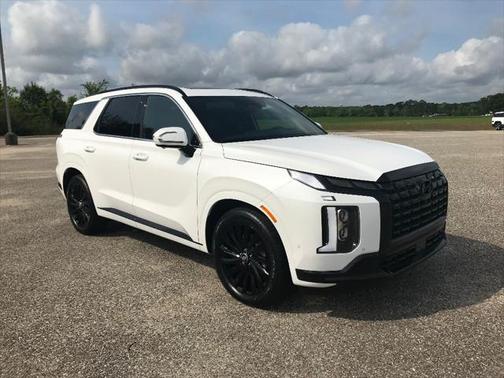 2025 Hyundai PALISADE Calligraphy Night Edition