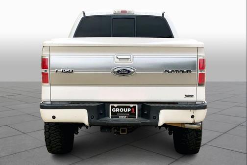 2010 Ford F-150 Platinum