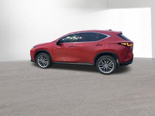 2022 Lexus NX 350h Luxury