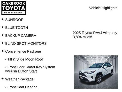 Ice Cap 2025 Toyota RAV4 XLE