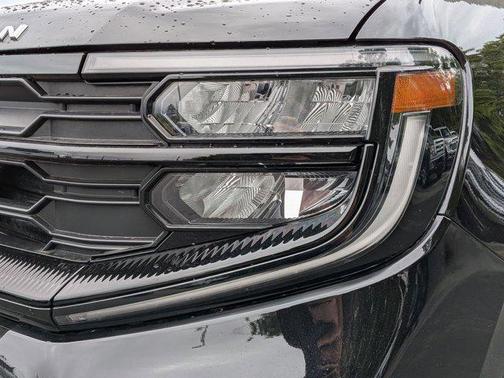 Agate Black 2025 Ford Expedition Active