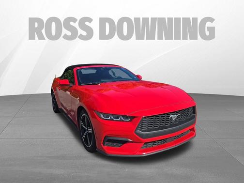 Red 2024 Ford Mustang EcoBoost Premium
