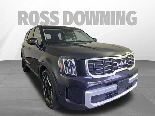 Panthera Metal 2025 Kia Telluride S
