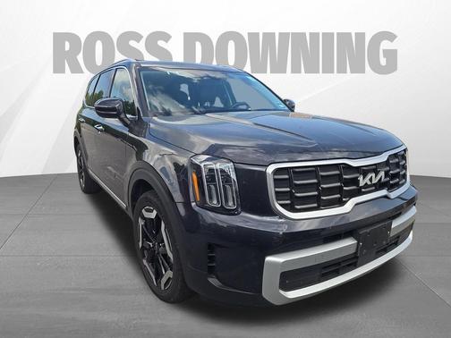 Panthera Metal 2025 Kia Telluride S