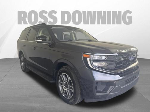 Gray Metallic 2025 Ford Expedition Active