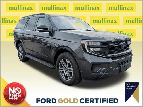 DARK MATTER GREY METALLIC 2025 Ford Expedition ACTIVE