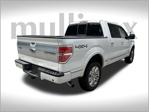 2013 Ford F-150 Platinum