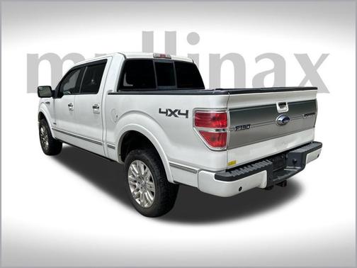 2013 Ford F-150 Platinum