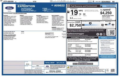 OXFORD WHITE 2025 Ford Expedition ACTIVE