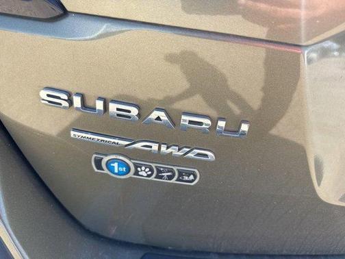 Autumn Green Metallic 2022 Subaru Outback Limited