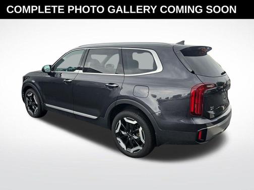 Panthera Metal 2025 Kia Telluride S