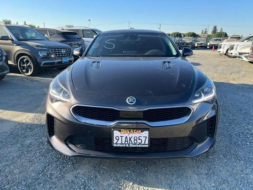 Panthera Metal 2019 Kia Stinger Premium