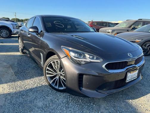 Panthera Metal 2019 Kia Stinger Premium