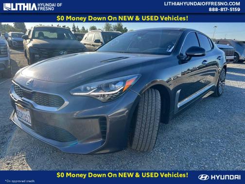 Panthera Metal 2019 Kia Stinger Premium