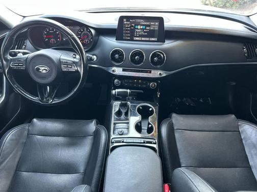 Panthera Metal 2019 Kia Stinger Premium