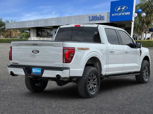 AVALANCHE 2024 Ford F-150 Tremor