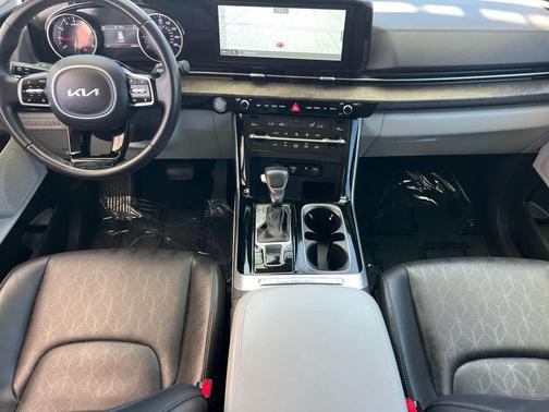 Panthera Metal 2024 Kia Carnival EX