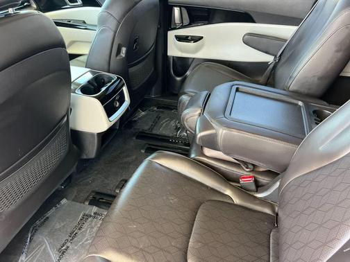 Panthera Metal 2024 Kia Carnival EX