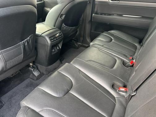 Rainforest 2022 Hyundai PALISADE SEL