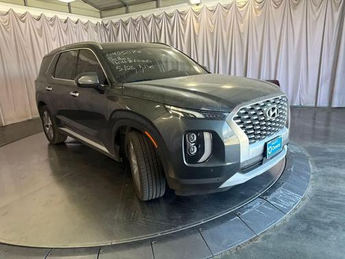 Rainforest 2022 Hyundai PALISADE SEL