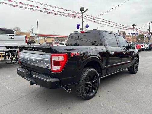 2021 Ford F-150 Platinum