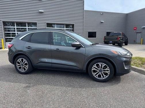 Magnetic 2020 Ford Escape SEL