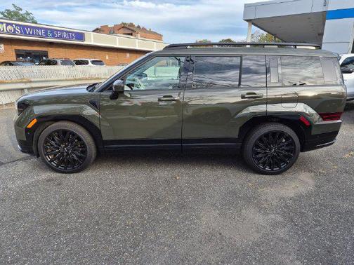 Rockwood Green 2024 Hyundai SANTA FE Calligraphy