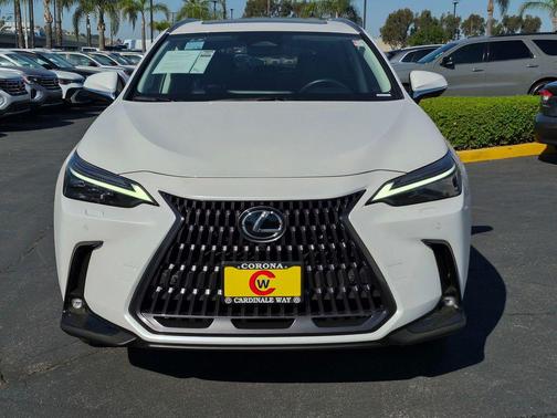 2024 Lexus NX 450h+ Luxury